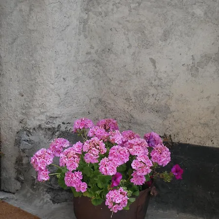 Gasthof Villard Oulx